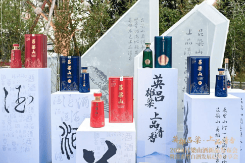 2024吕梁山酒新品发布会暨清香型白酒发展趋势分享会在成都举办(图6)