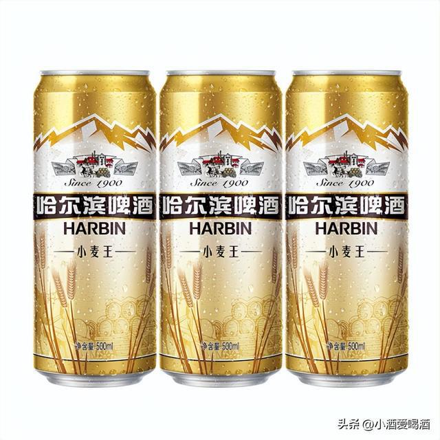 国内常见的五款啤酒盘点：青岛、雪花领衔你最喜欢其中哪一款(图5)