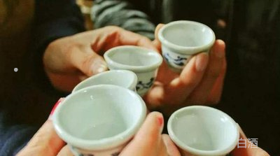 中国人最喜欢喝什么啤酒(图4)