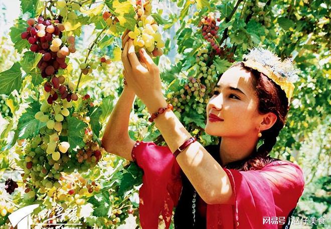 我国葡萄酒产地主要在哪里？中国10大葡萄酒产区哪里产的更好？(图2)