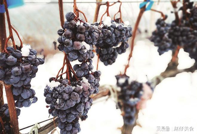 我国葡萄酒产地主要在哪里？中国10大葡萄酒产区哪里产的更好？(图10)