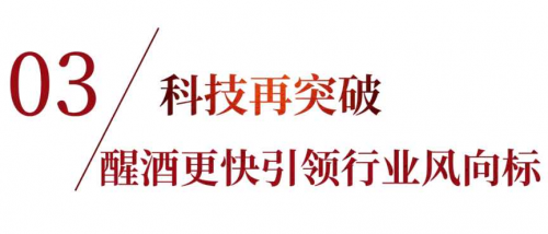 山庄·2024中国皇家酒文化开窖节：匠心科技重塑醒酒更快新风尚！(图23)