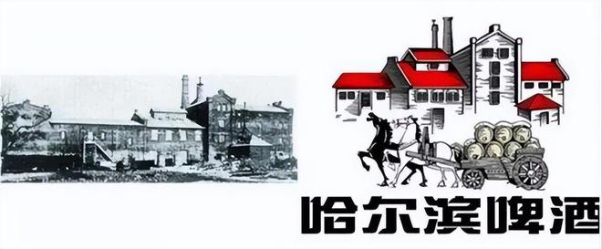 国产啤酒几乎全军覆没啤酒为何沦被外资收购你最惋惜哪款(图4)