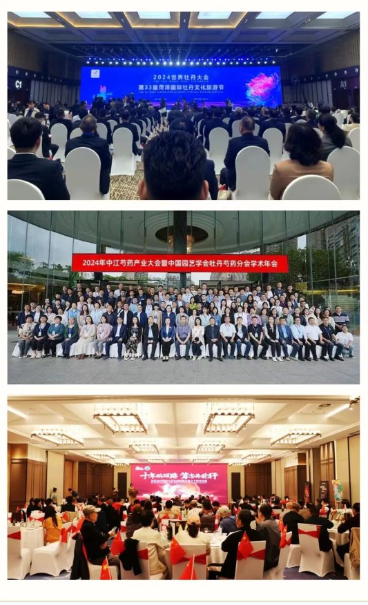 大放异彩！牡丹精酿啤酒闪耀多个产品推介活动(图1)