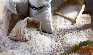 2024葡萄酒行业发展现状及前景趋势分析(图2)