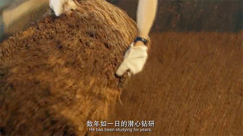 这才是2024龙年生肖酒“天花板”！(图23)
