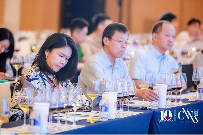 发现中国·2024中国葡萄酒发展峰会十周年再启航！(图4)