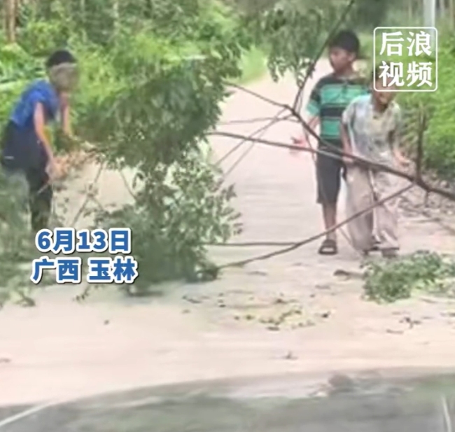广西玉林4名小男孩合力挪走挡路树枝正能量行动获赞(图1)
