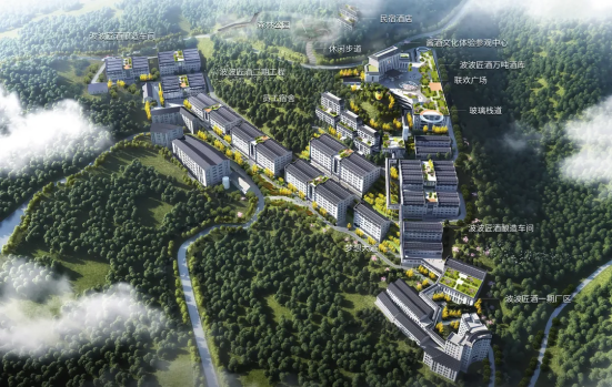 喝酒就得有“下酒菜”！谈及白酒未来发展方向波波匠酒在这样做！(图2)