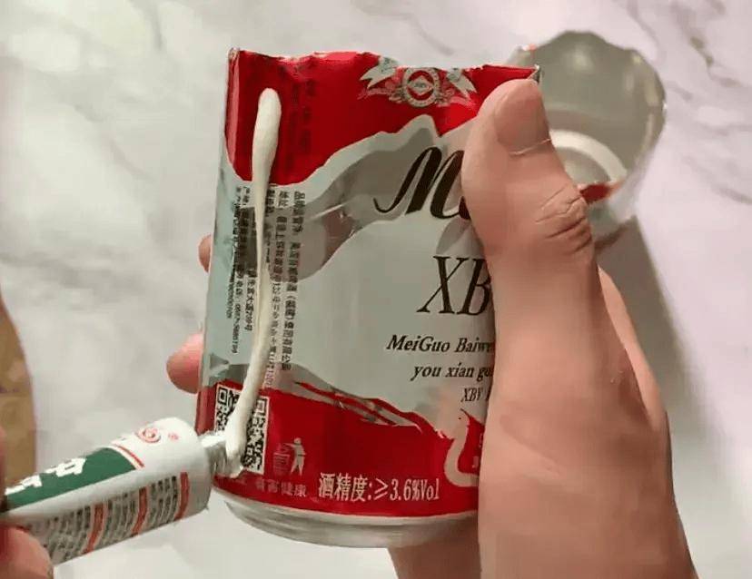 爆改啤酒罐种棵草都好看朋友圈火了：花盆设计师都得抄的创意(图4)