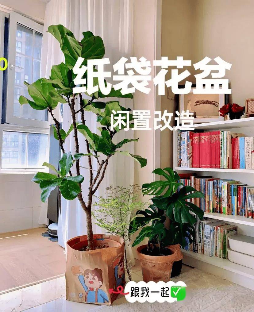 爆改啤酒罐种棵草都好看朋友圈火了：花盆设计师都得抄的创意(图24)