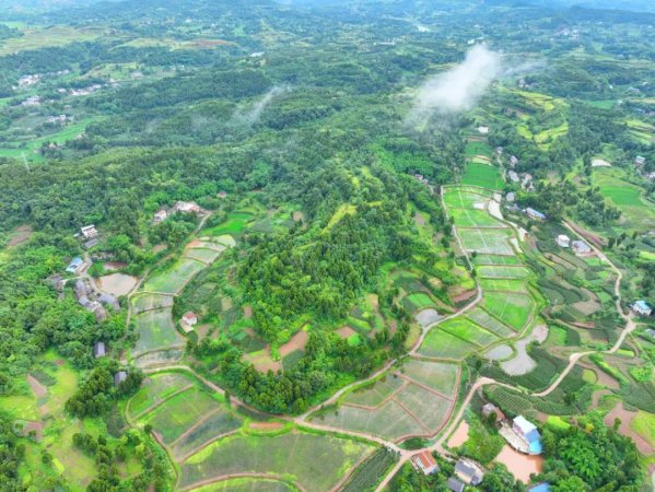 稻虾、啤酒、音乐……重庆合川（二郎）首届稻虾乡村美食文化节等你来嗨！(图2)
