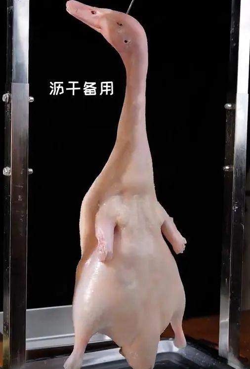 鸭肉怎么做好吃？啤酒炖、红烧香、烤鸭脆哪种更让你心动？(图12)