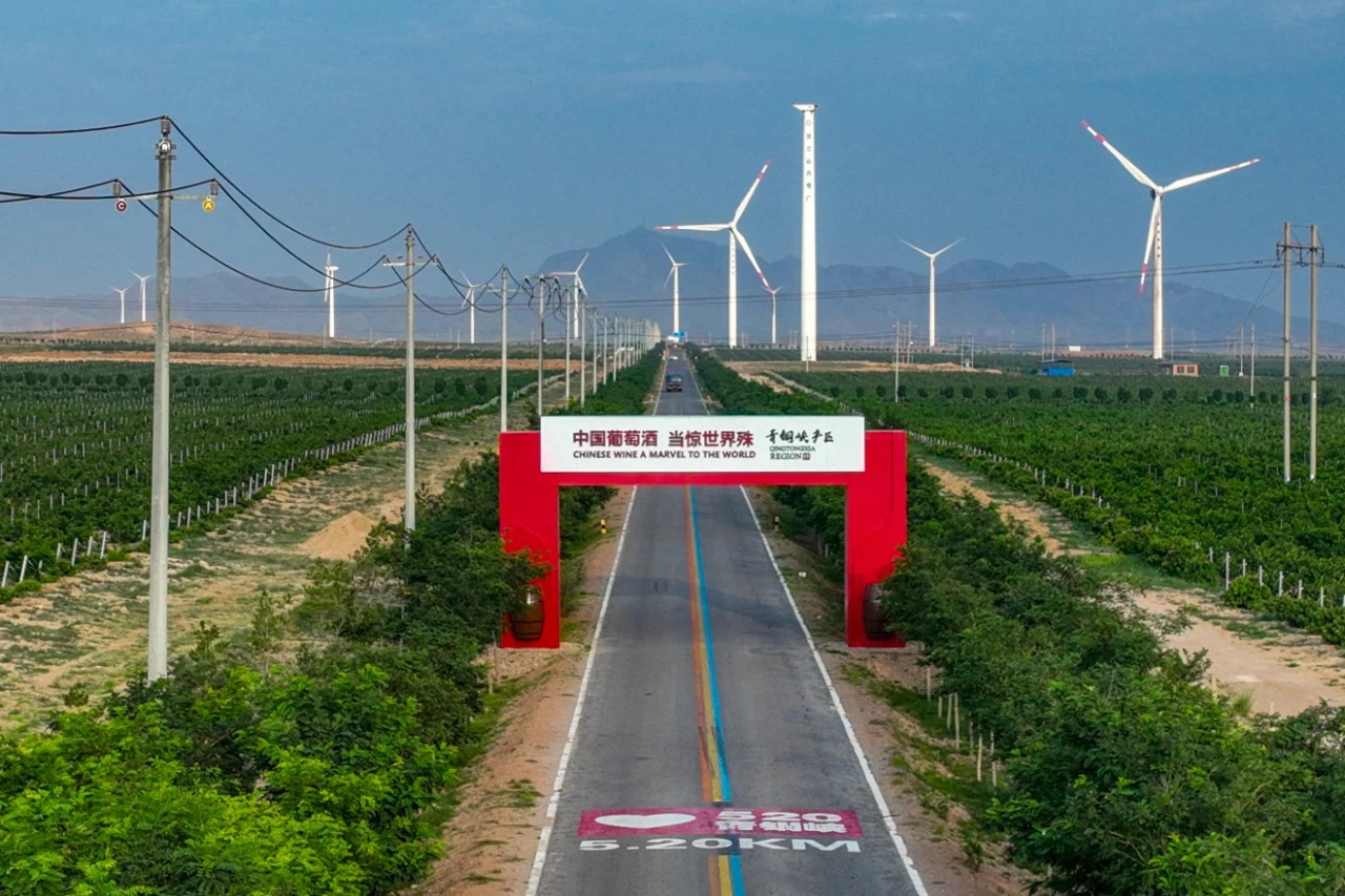 总投资超2亿元！今年青铜峡葡萄酒产区将建5家酒庄(图1)