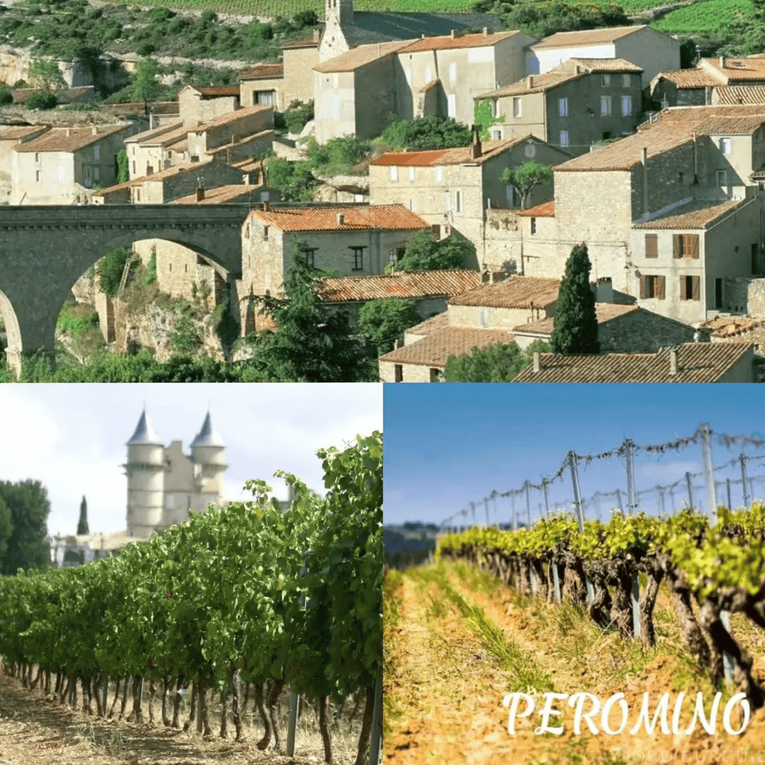 抢到尖货了！2024年巴黎奥运会纪念干红来了！一瓶一码法国进口！(图14)