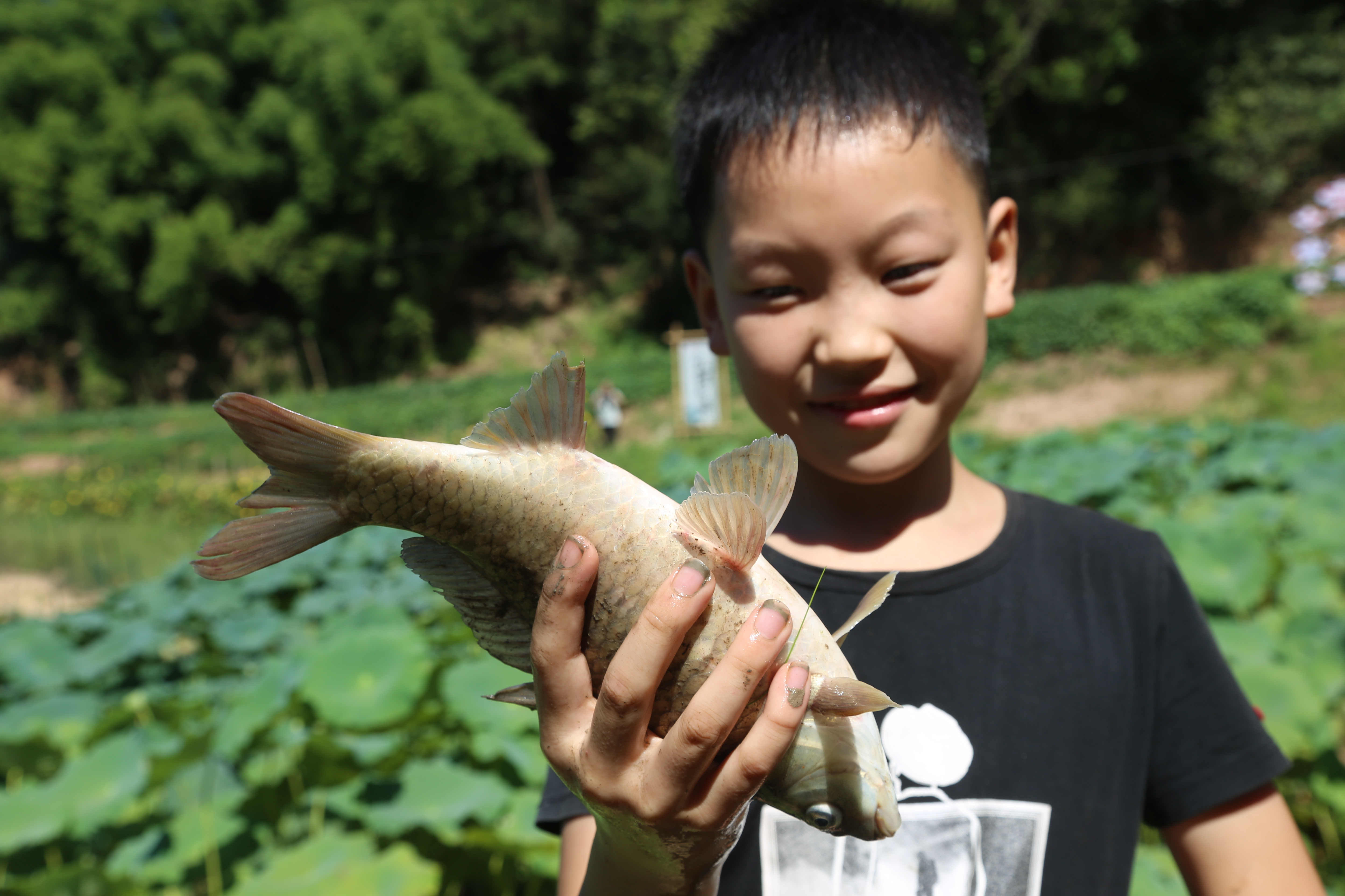 重庆涪陵美心红酒小镇的梯田丰收节“开镰啦”！(图2)