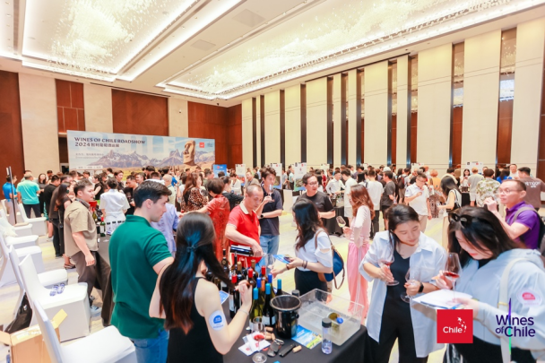 穿越三城共鉴佳酿！智利葡萄酒2024巡展圆满落幕！(图3)