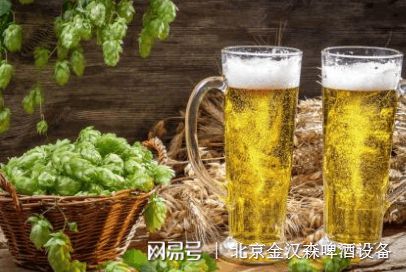 崛起的啤酒国家你在喝国产啤酒吗?(图1)