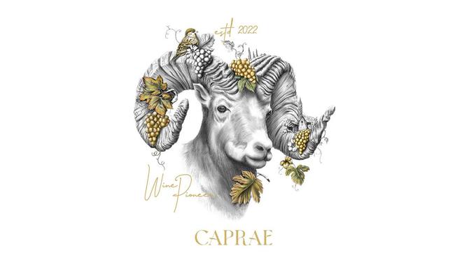 手绘山羊插画的红酒包装设计融合传统与现代的艺术探索(图1)