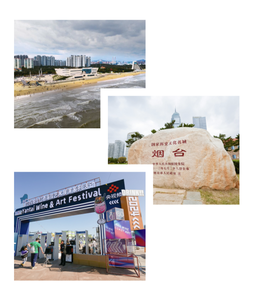 嘿一杯红酒配电影——周末还得微醺着过！(图1)