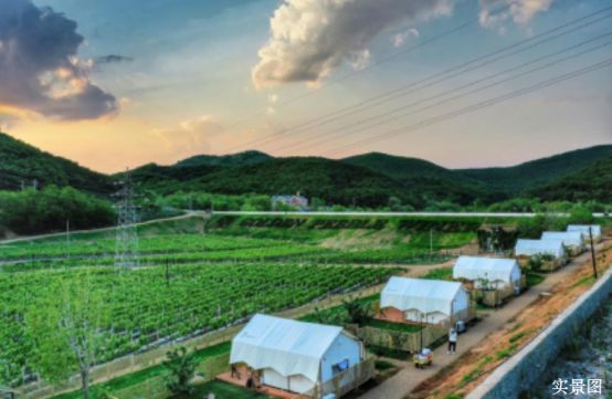 绿城玫瑰园葡萄酒小镇（售楼处）最新消息-2024首页房价-楼盘详情(图2)