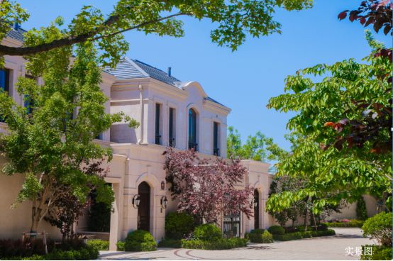 绿城玫瑰园葡萄酒小镇（售楼处）最新消息-2024首页房价-楼盘详情(图1)