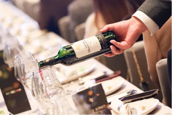 法国翡马有机葡萄酒首次亮相进博会助力有机葡萄酒高质量发展(图9)