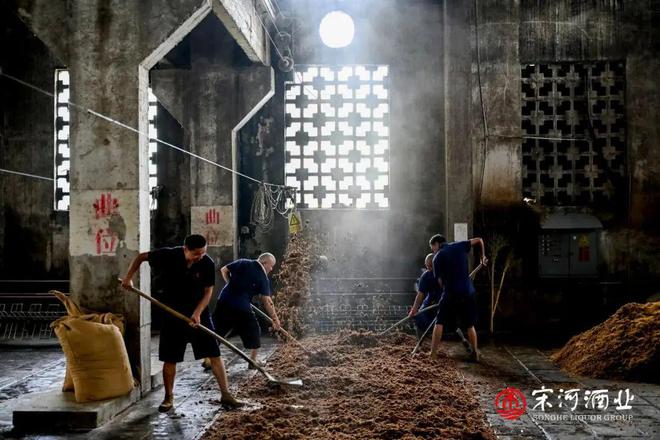 700亿河南白酒市场大变局:豫酒振兴还看宋河!(图5)