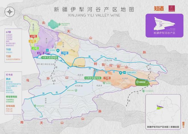 从奖项丰收到展会高光丝路酒庄书写中国葡萄酒新篇章(图3)