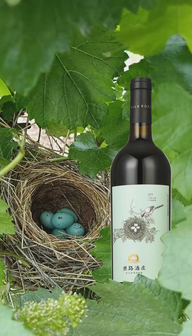从奖项丰收到展会高光丝路酒庄书写中国葡萄酒新篇章(图2)