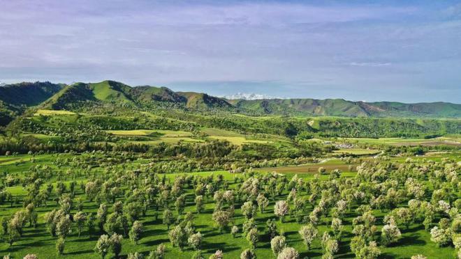 从奖项丰收到展会高光丝路酒庄书写中国葡萄酒新篇章(图17)