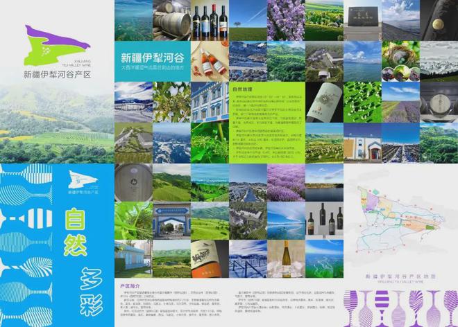 从奖项丰收到展会高光丝路酒庄书写中国葡萄酒新篇章(图15)