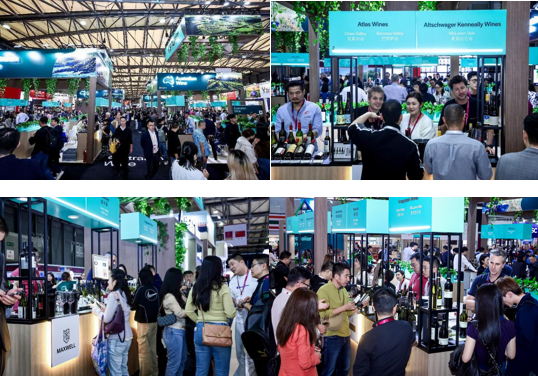 南澳州葡萄酒在中国市场强劲回归：2024进博会和ProWineShanghai完美收官(图7)