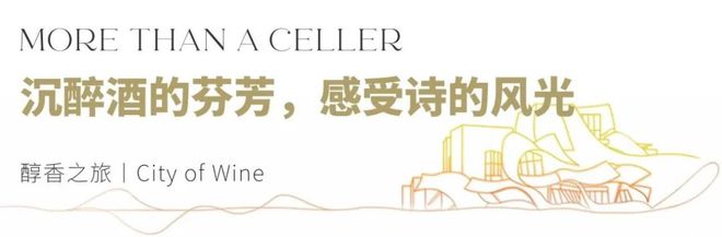 捷报西班牙瑞格尔侯爵酒庄荣登2024世界最佳葡萄园榜首！(图8)