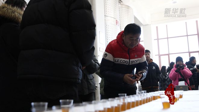 千城百县看中国｜吉林：2024·集安冰葡萄酒采酿体验活动启幕(图1)