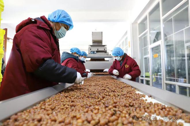 2024集安冰葡萄酒采酿体验活动举办(图5)