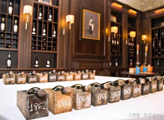 西班牙瑞格尔酒庄荣登2024世界最佳葡萄园榜首！(图5)