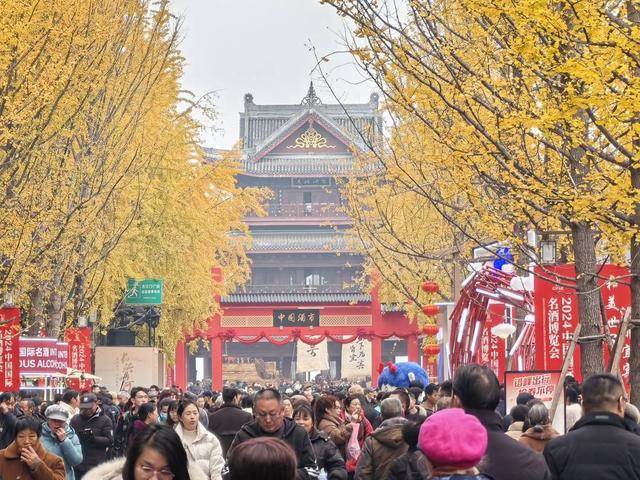 从一粒种子到一滴美酒借力2024中国国际名酒博览会宜宾南溪白酒产业推新品(图3)