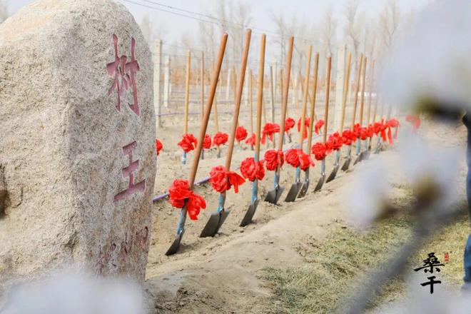 从2024十大新闻窥见一个更好的长城葡萄酒(图4)