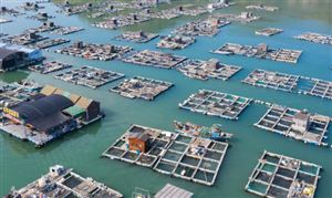 白酒行业市场如何？2024年春节白酒消费趋势洞察(图3)