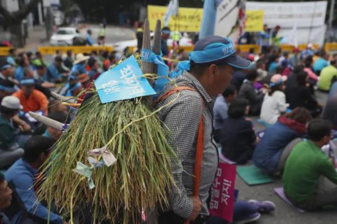 英网友疑惑：中国人用筷子韩国人也用筷子那到底谁才是正宗？(图21)