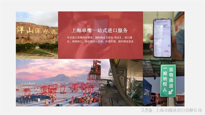 上海港进口精酿啤酒报关清关申报代理通关物流平台(图1)