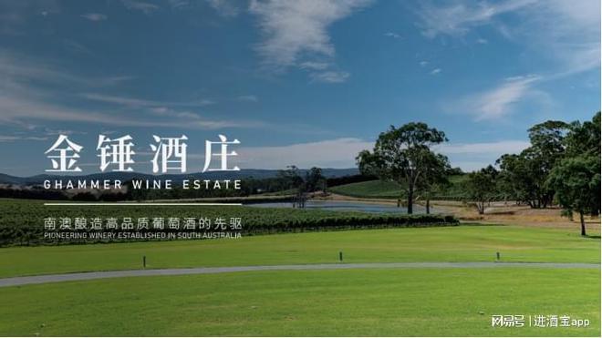 Ghammer金锤葡萄酒财报：四季度中国市场销量表现亮眼(图3)