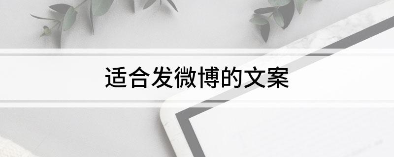 适合发微博的文案(图1)