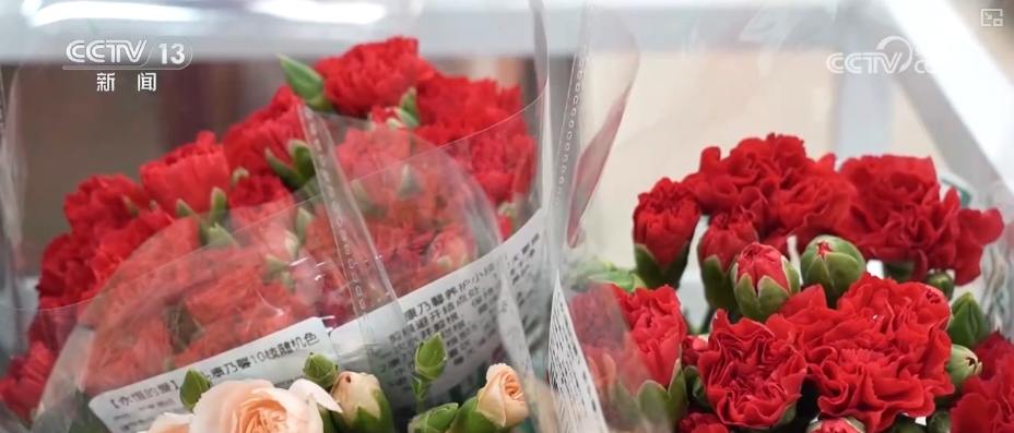 鲜花争“鲜”绽放带暖美丽经济“赏花+”扮“靓”经济新增长点(图1)