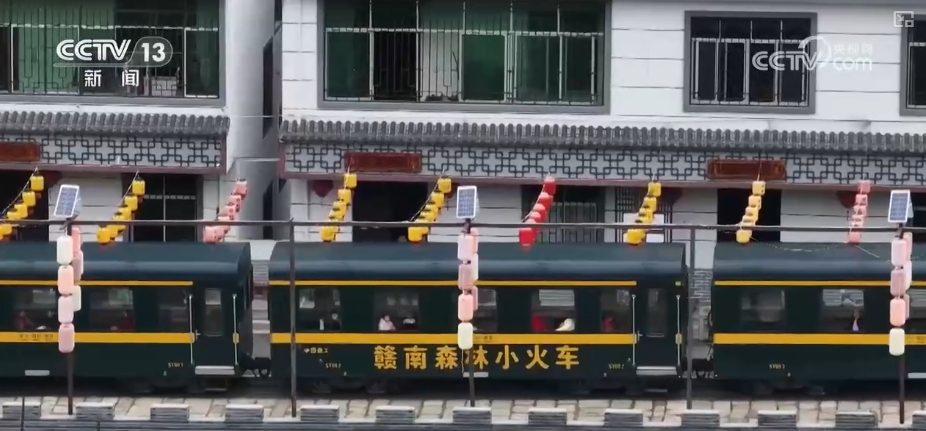 鲜花争“鲜”绽放带暖美丽经济“赏花+”扮“靓”经济新增长点(图18)