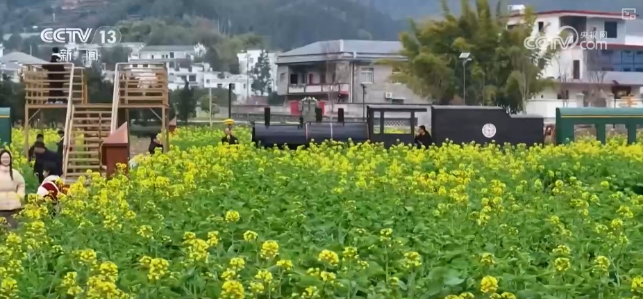 鲜花争“鲜”绽放带暖美丽经济“赏花+”扮“靓”经济新增长点(图19)