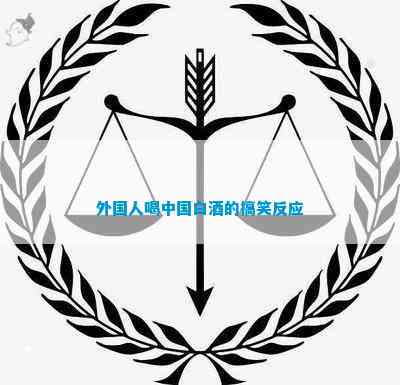 外国人喝各国白酒(图7)