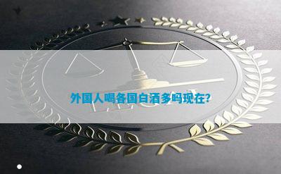 外国人喝各国白酒(图10)