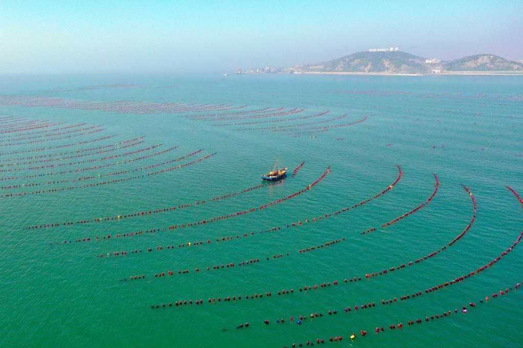 犁翻千层浪人勤地不懒——从春耕一线看山东为农业高质量发展积蓄新动能(图2)